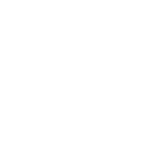 Paradise Metatronics